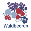 Waldbeeren Sahnestand Sahnefest Sahne Fond