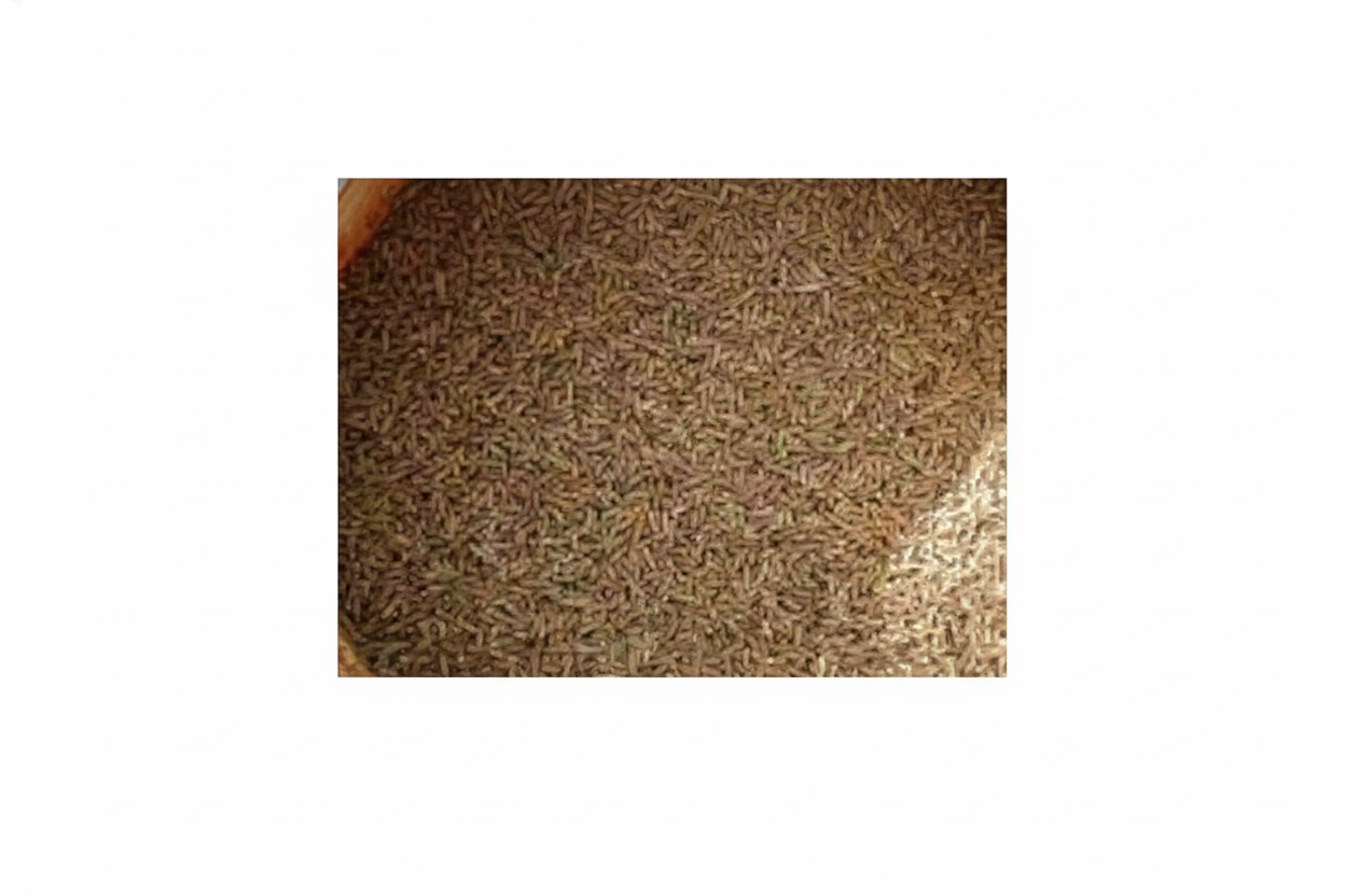 Kreuzkümmel ganz 100g